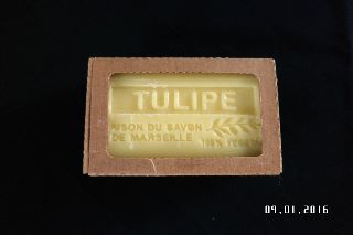 Tulipe