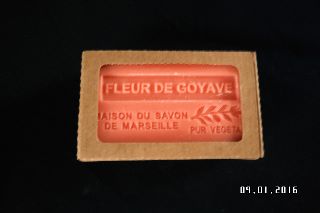 Fleur de Goyave