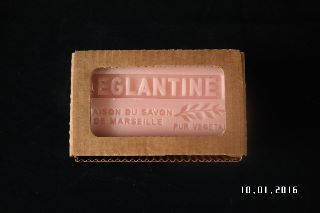Eglantine