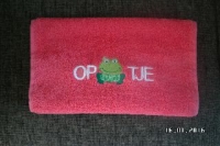 Gastendoekje Opkikkertje