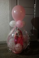 cadeauballon basis