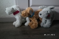 knuffel hond met halsband